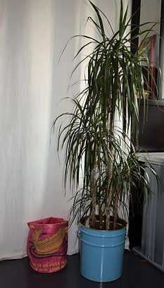 LolliAndCo - Wholesale Storage Bin - BIN5