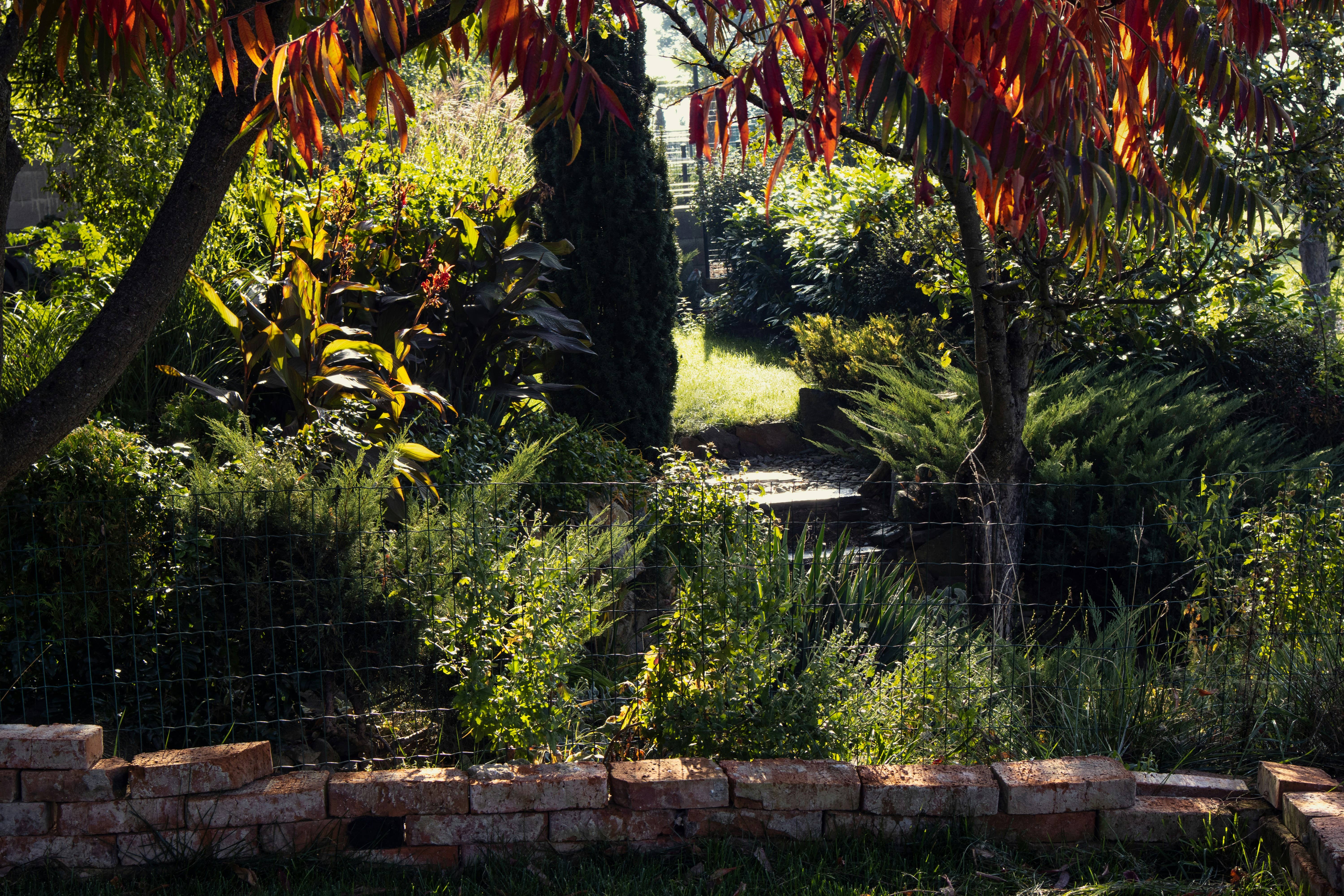 James Street Co. – Großhandel Kerze im Glas / gefüllte Kerze – Frische Feige + Zeder - Kokosnusswachs 4oz oder 8oz Kerze | Frisch Grün Fruchtig Holzig6