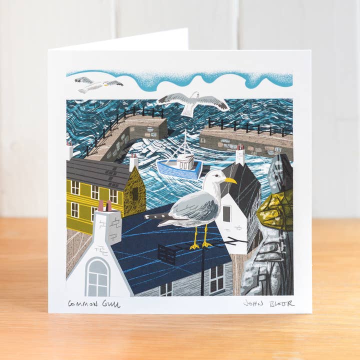 Common Gull greetings card, British coastal bird for wholesale by John Bloor Printmaker