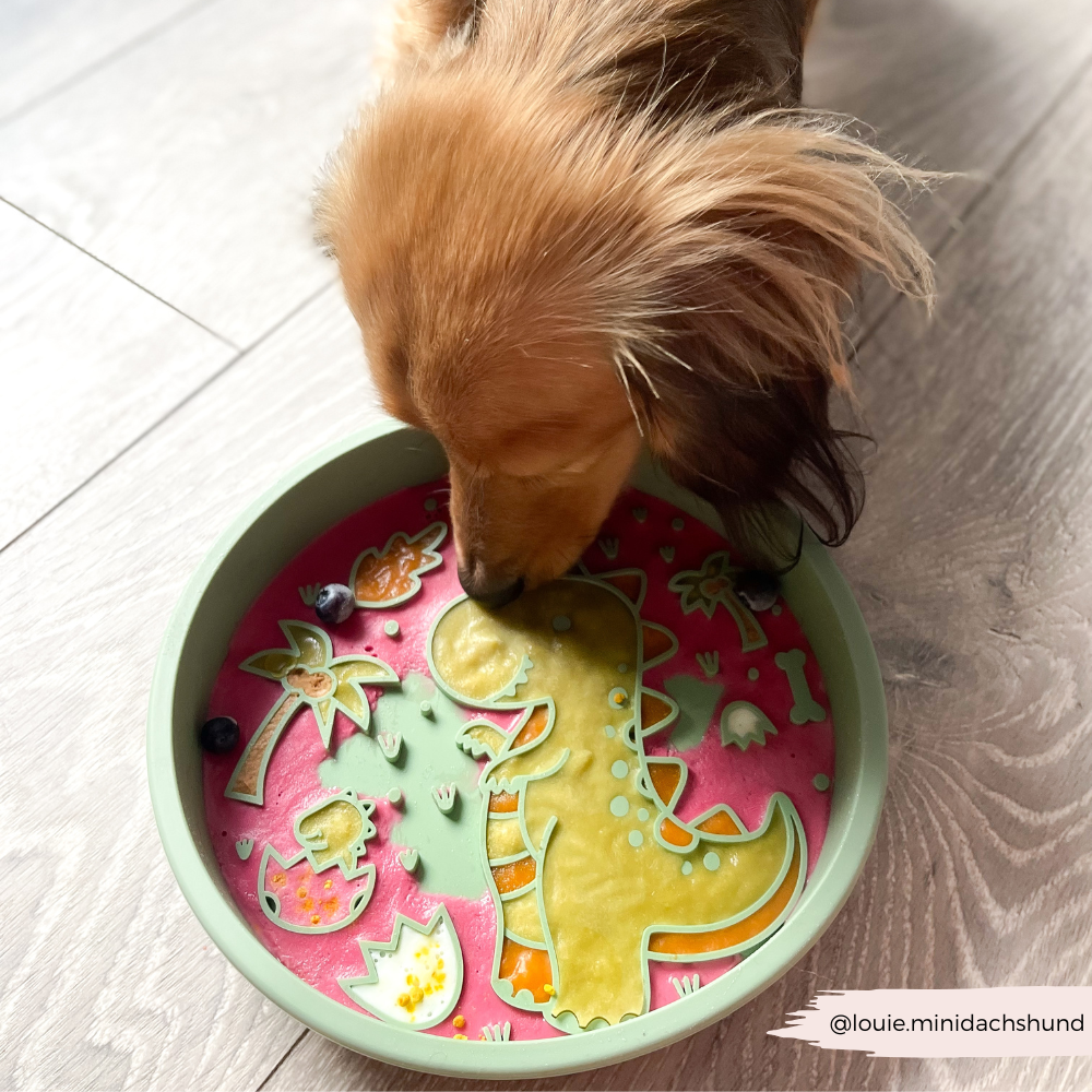 Cocopup London - Wholesale Pet Bowl - Cat/Dog - Silicone Slow Feed Dog Bowl - Dinopaws7