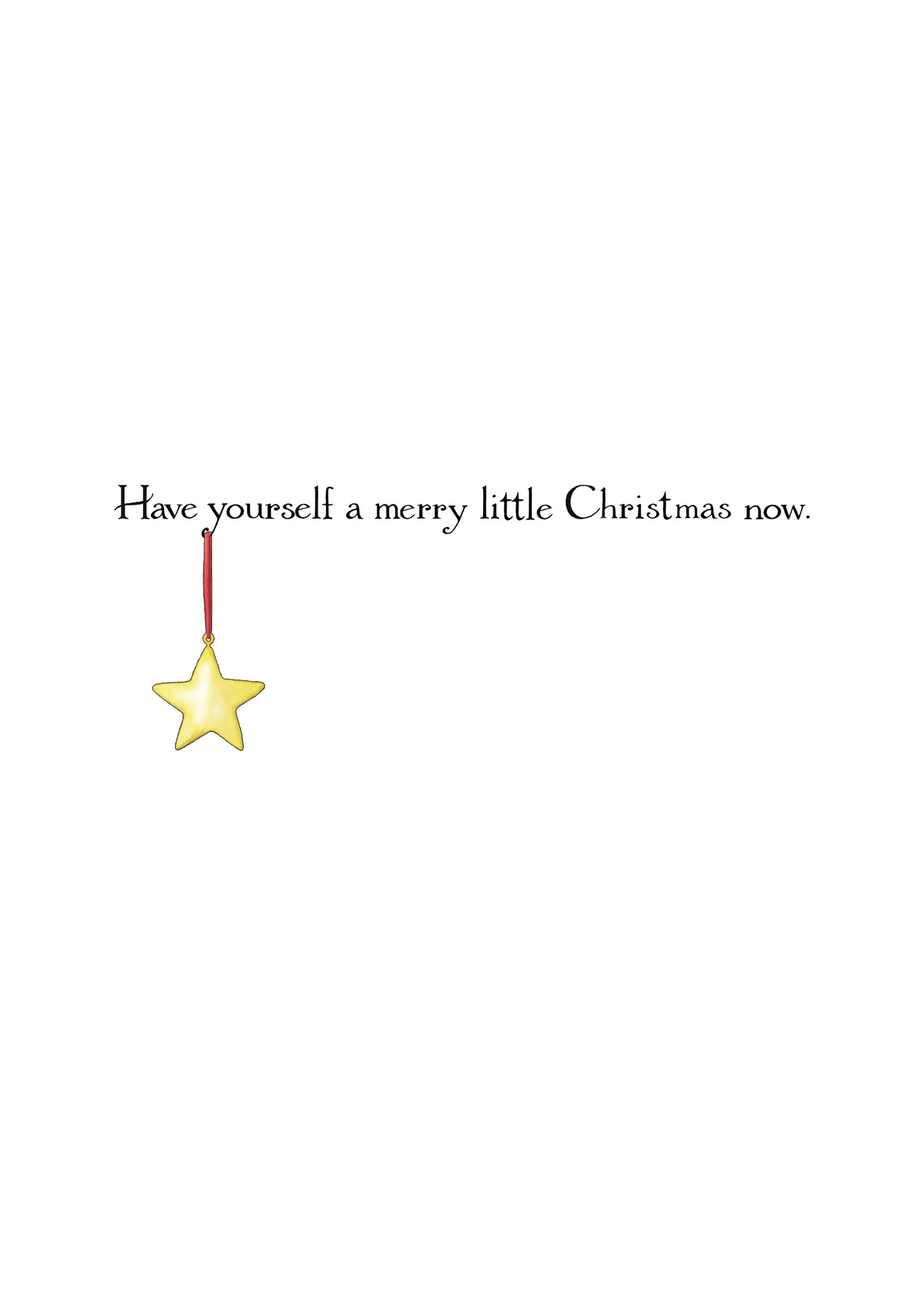Firefly Sky Design - Wholesale Season's Greetings Card - NEW! Shining Star Loon Holiday Card1