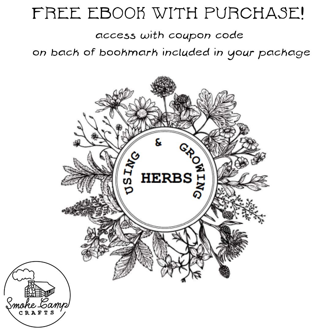 Smoke Camp Crafts - Wholesale Live Plant - Upright Rosemary Plant, (Rosemarinus officinalis) 2.5 inch Pot1