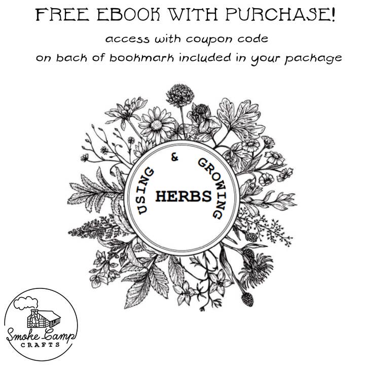 Smoke Camp Crafts - Wholesale Plant Seeds - Yucca Seeds (Yucca filamentosa) 50 Seeds (0.5 Grams)3