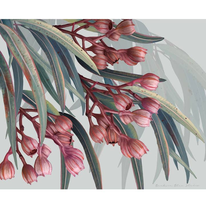 "Boroondara" |Australian Blue Gum Eucalyptus Print Landscape for wholesale by Banksia Blue Studio