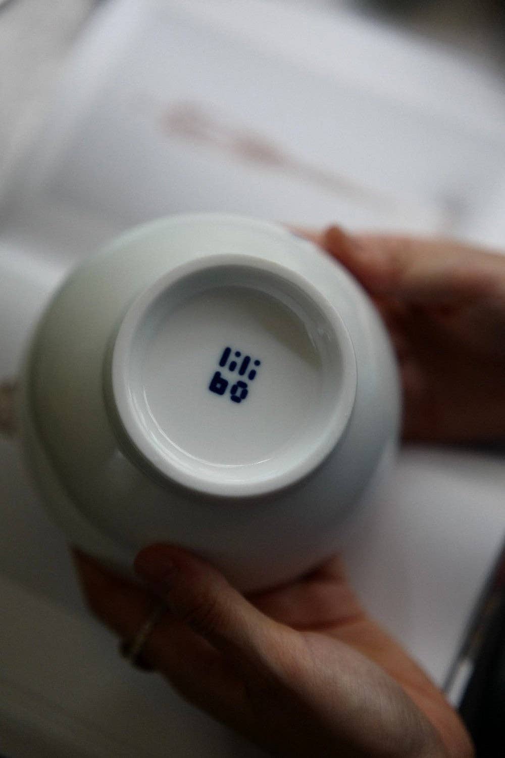 lilibo – Tigela por atacado – LOUVA-A-DEUS - Tigela de porcelana com padrão de inseto, tigela de arroz, tigela de snacks, tigela de iogurte, tigela de sopa2