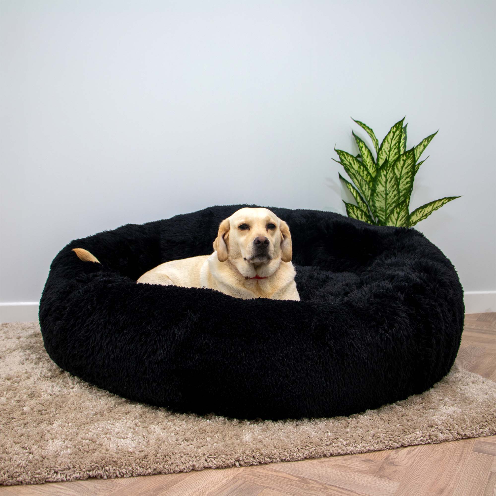 Ancol Pet Products Ltd - Wholesale Pet Bed - Dog - Giant Super Plush Donut Dog Bed 130cm Black2