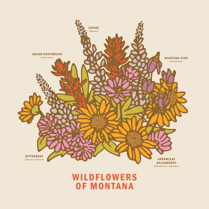 Stampa Fiori di campo del Montana per la vendita all'ingrosso da parte di Here Studio