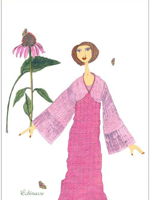 Echinacea for wholesale by Finalina