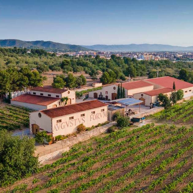 Mikuni Wild Harvest USA – Engroshandel Eddike – Forvm Chardonnay eddike (Soleras 3 år) /250 ml2