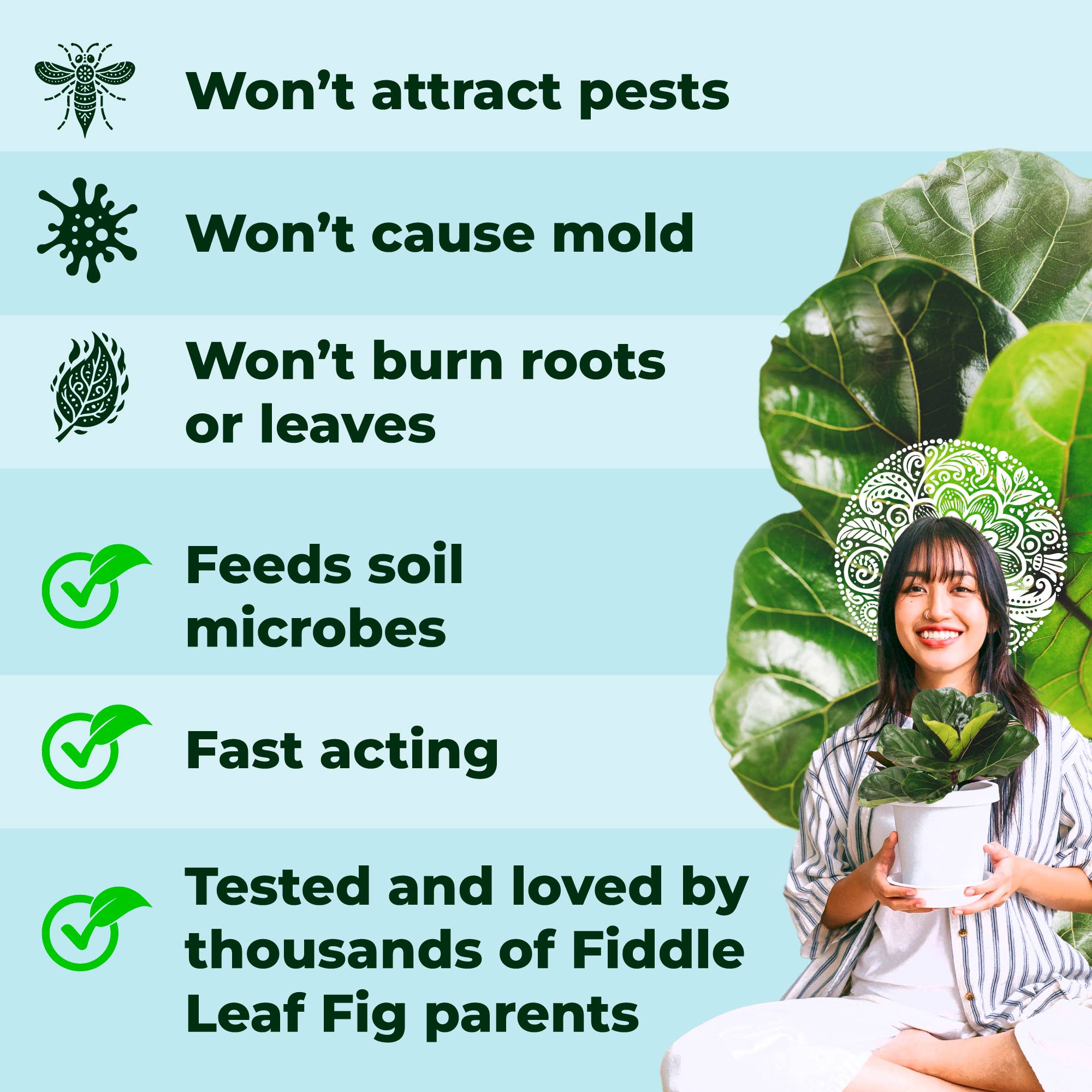 Bless Your Soil - Wholesale Fertilizer - Fiddle Leaf Treats®6