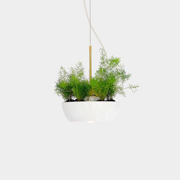 Well Planter Light for wholesale by Object/Interface