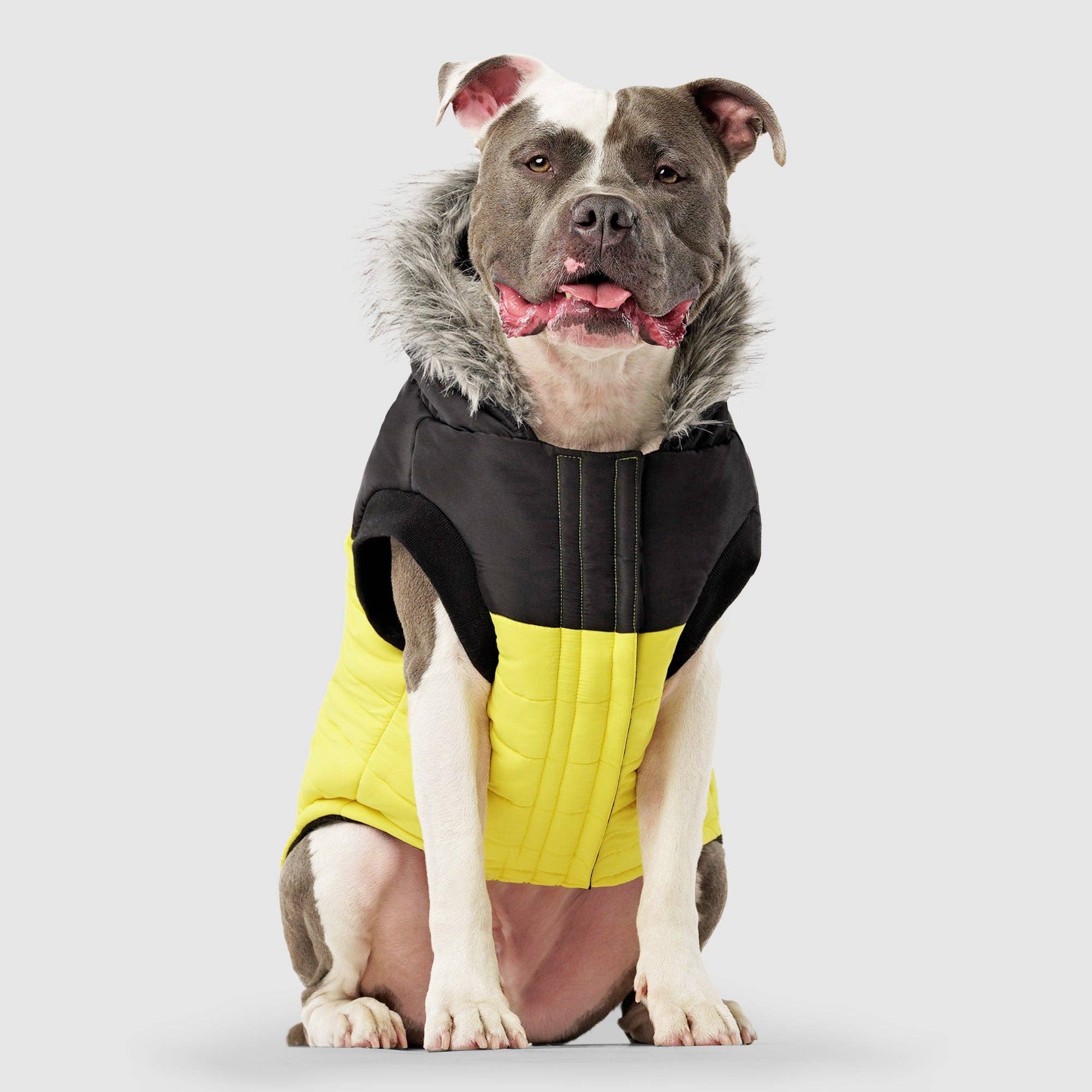 Canada Pooch - Vendita all'ingrosso Cappotto - Cani - Parka invernale True North per cani2