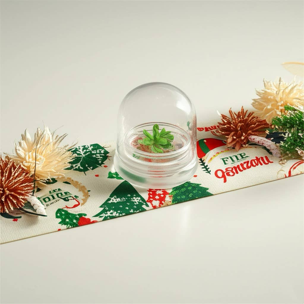 bloomify - Wholesale Live Plant - Pinguicula esseriana - Mexican Butterwort: A Unique Carnivorous Plant terrarium for Enthusiasts1