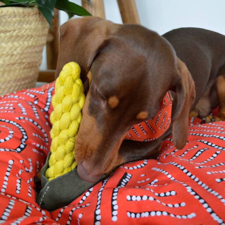 Outback Tails - Wholesale Pet rope toy – Dog - Country Tails Sweet Corn toy3