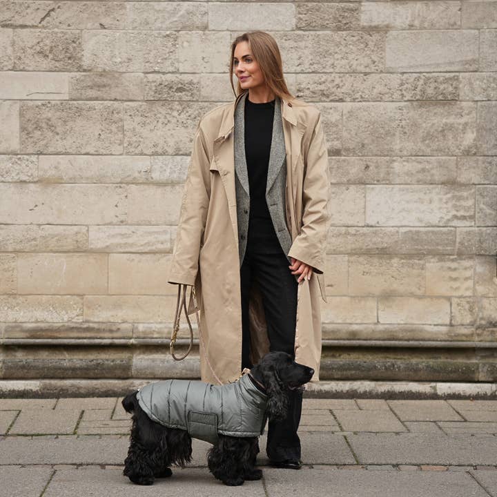 Staey - Wholesale Pet Jacket - Dog - Nora Dog Coat | Moss Green10