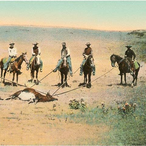 Konsttryck TW-09 Fånga en kalv på prärien för wholesale av Found Image Press