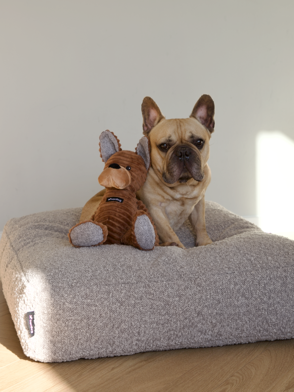 Nordog – Engroshandel Tøjdyr - Hund – Tyson Bulldogen2