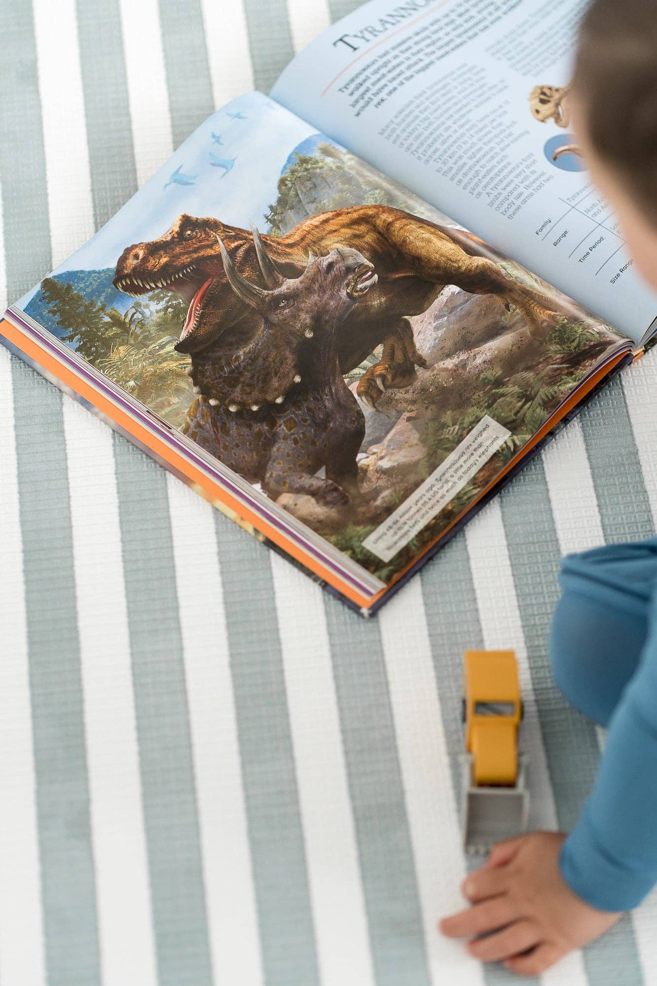 Townsend Avenue – Großhandel Spielmatte – Kind & Baby – Wendbare Schaumstoff-Spielmatte24