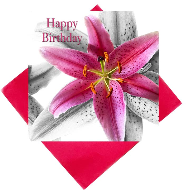 Stargazer lily Happy birthday greeting card for wholesale by Alex Sharp