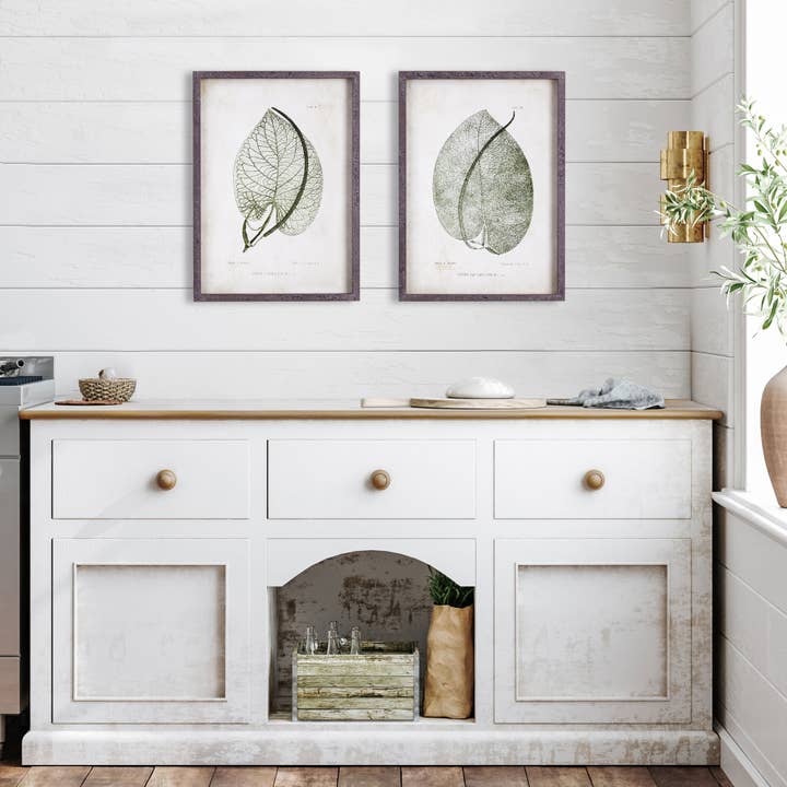Napa Home & Garden - Wholesale Gallery Wall Set - Cordate Leaf Study, Set Of 2
