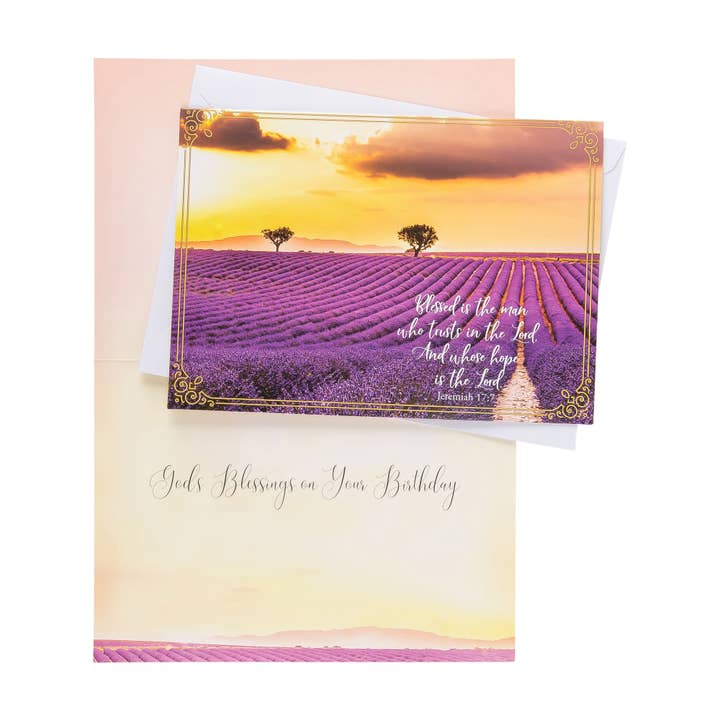 Divinity Boutique - Wholesale Birthday Card - Boxed Cards: Birthday For Him, Canoe, Elk, River and Field