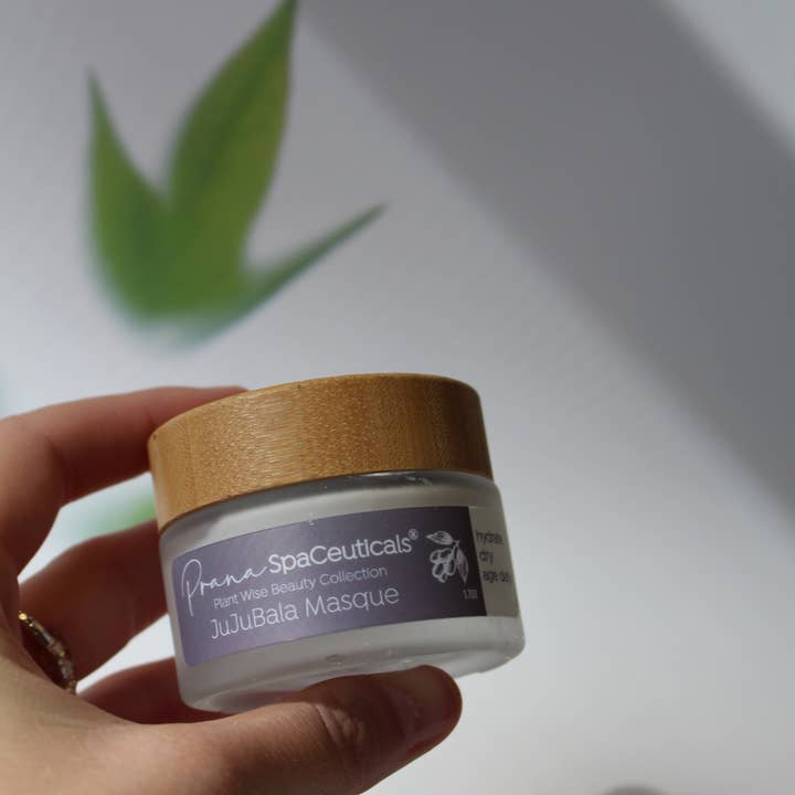 Dermastart Brands – wholesale Ansiktsmasker – Växt klok skönhet - Jujubala Masque