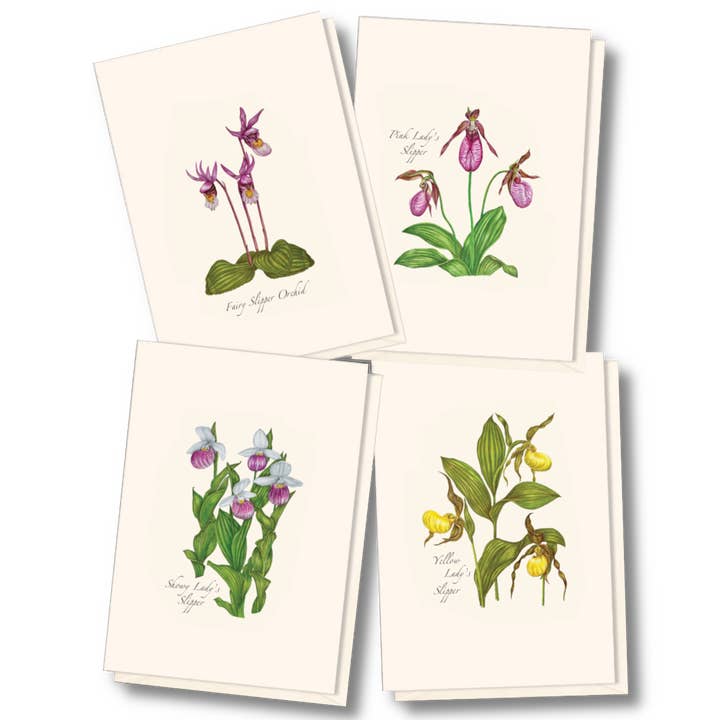 Native Orchid Assortment for wholesale by Earth Sky + Water
