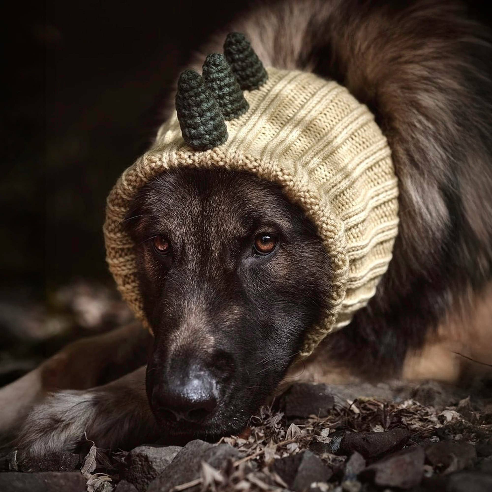 Zoo Snoods - Wholesale Pet Snood - Dog - Dinosaur Dog Snood8