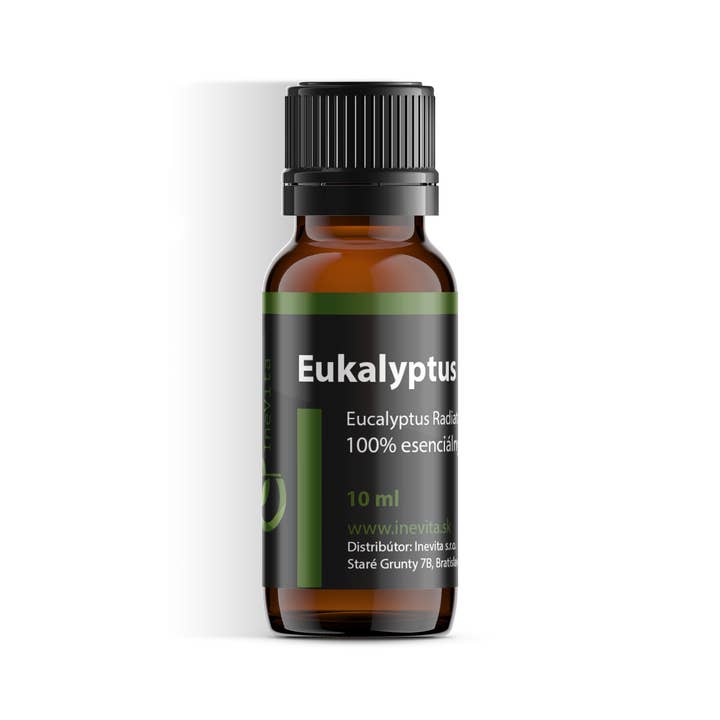 Eucalyptus Radiata for wholesale by Inevita