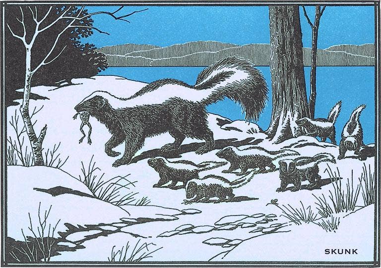 Found Image Press - Wholesale Stationery/Notecard Set - Greeting Card WD-30 Skunk Family0