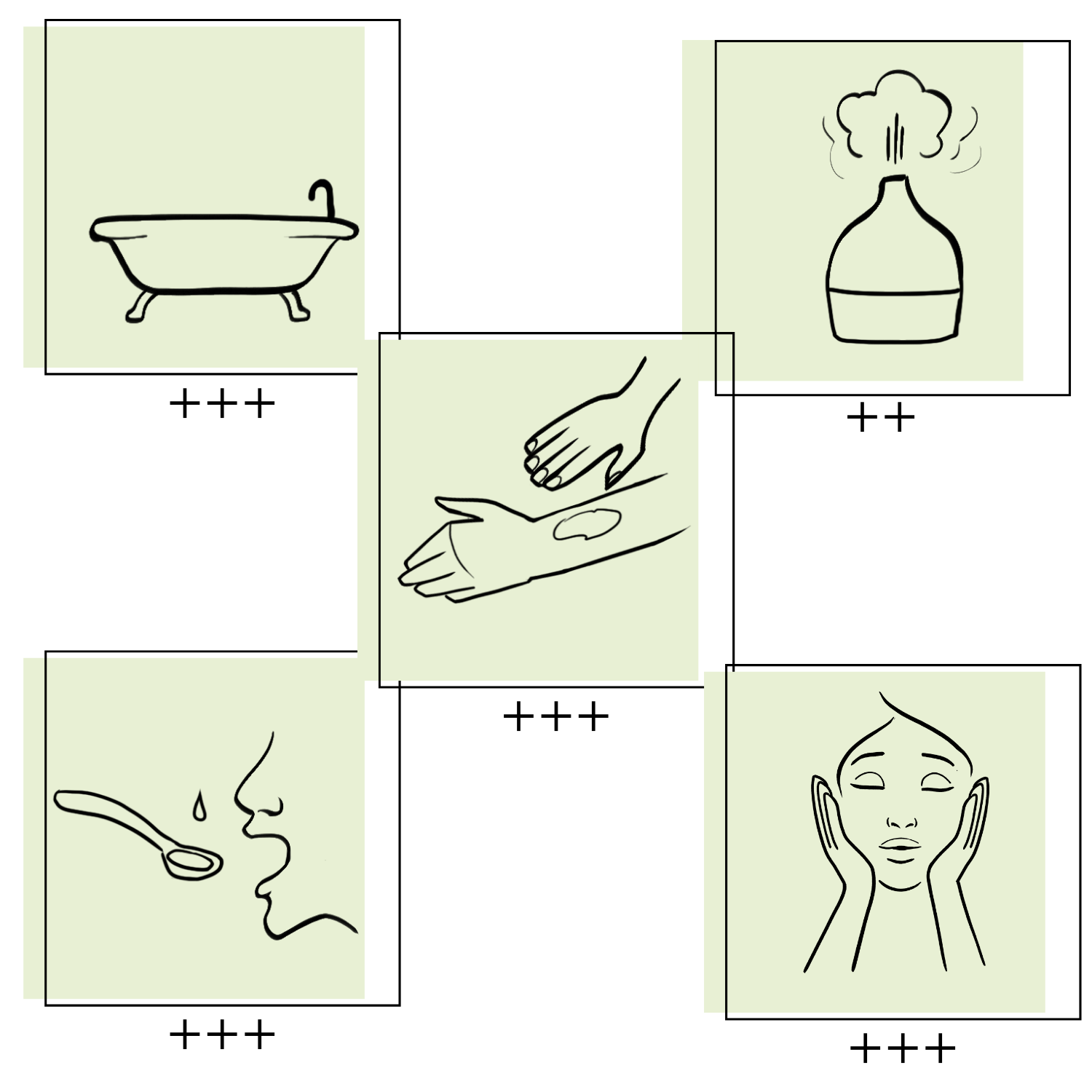 Essences Naturelles Corses - Wholesale Face & Body Mist/Water - Myrtle floral water - Aromatherapy - 100ml4