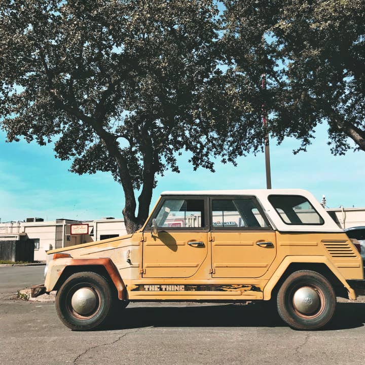 Het ding//Texas voor wholesale door Alison Holcomb Creative