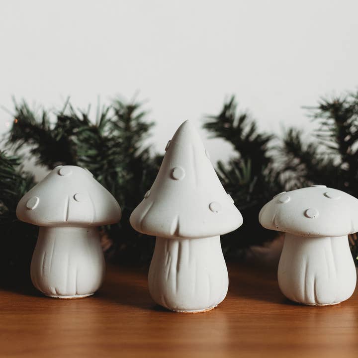 The Market Made - Wholesale DIY Craft Kit - Paint Your Own Mushroom Kit | Paint Your Own Decor Activity Set | Paint Your Own Handmade Concrete Gift Set8