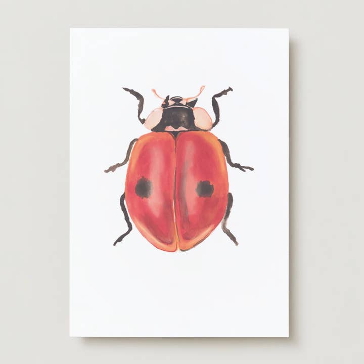 Ladybug Insects Greeting Card for wholesale by Studio Angelart