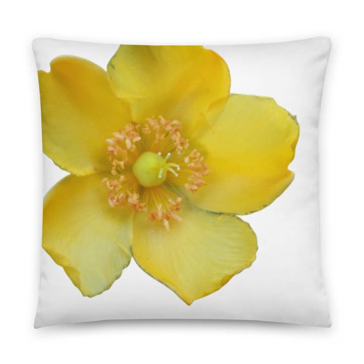 Almofada Amarela com Flor e Almofada Decorativa Branca 45x45 cm por atacado de Red Haute Blue