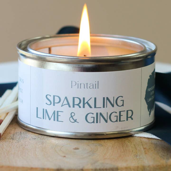 Sparkling Lime & Ginger Paint Pot for wholesale by Pintail Candles | Avalon Home
