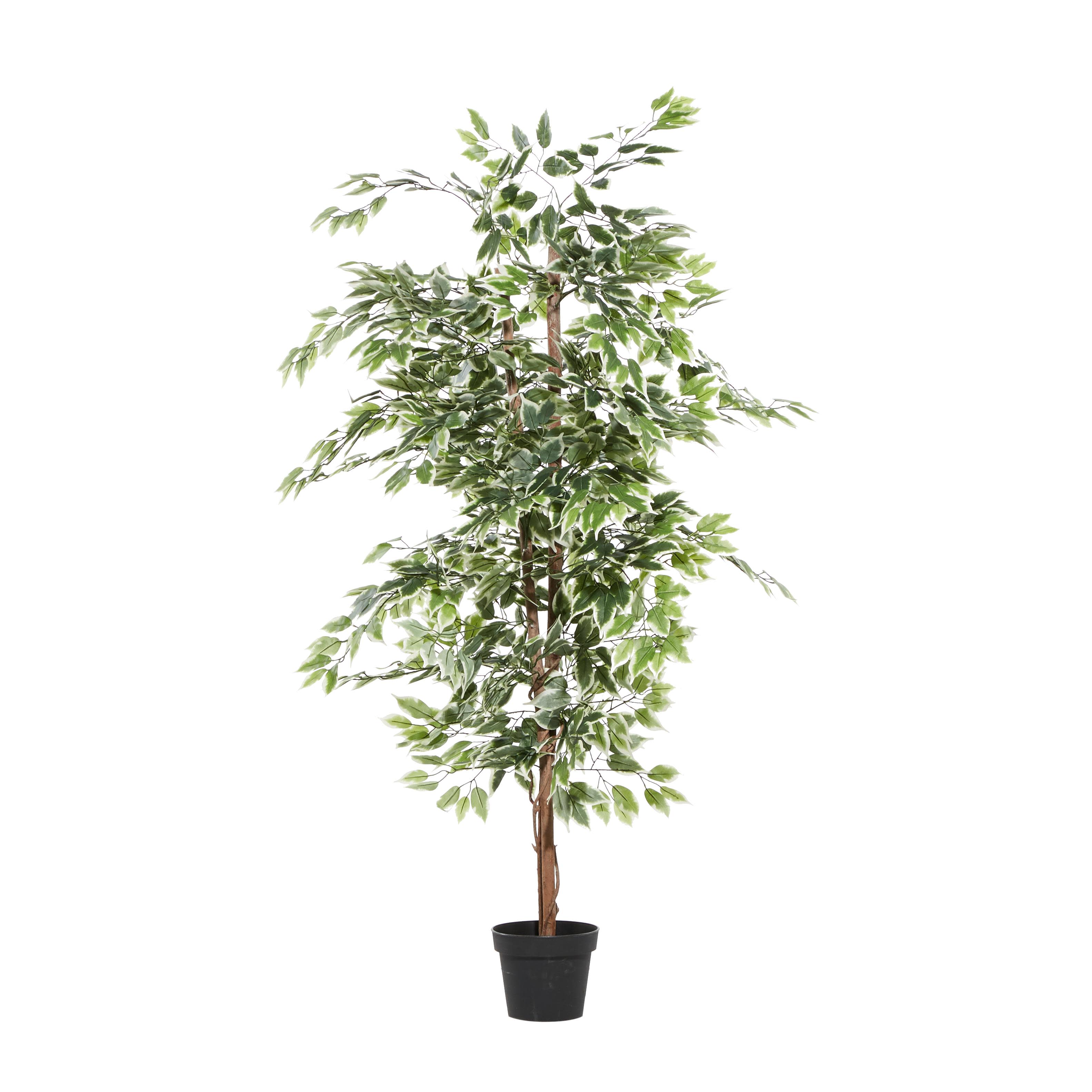 Import Corner – wholesale Artificial plant – A-88287: ARTIFICIAL FICUS TREE IN POT 73"H6
