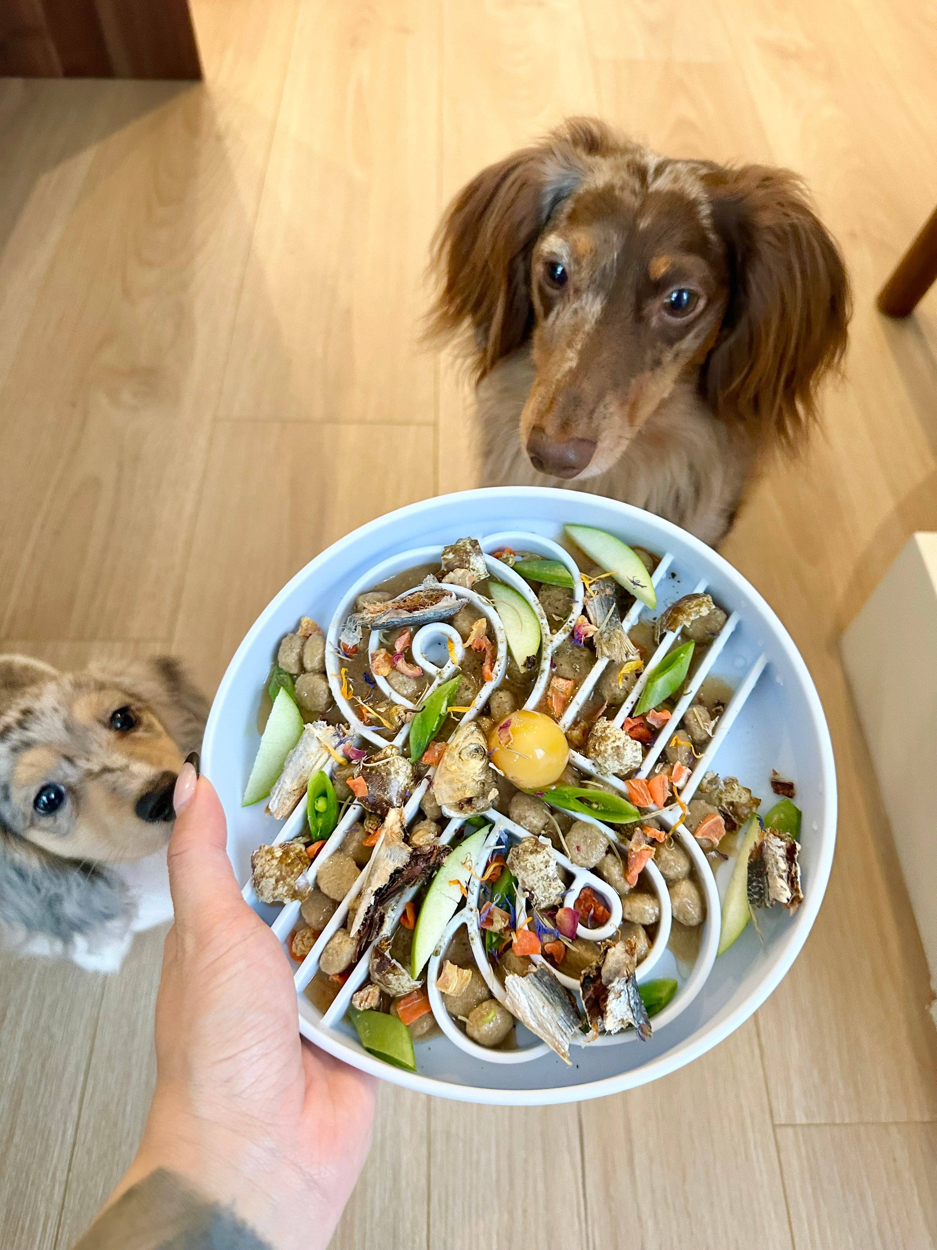 ollie b. good – Großhandel Futternapf – Katze/Hund – Zoomies Futternapf aus Silikon zum langsamen Fressen | Heidelbeere3