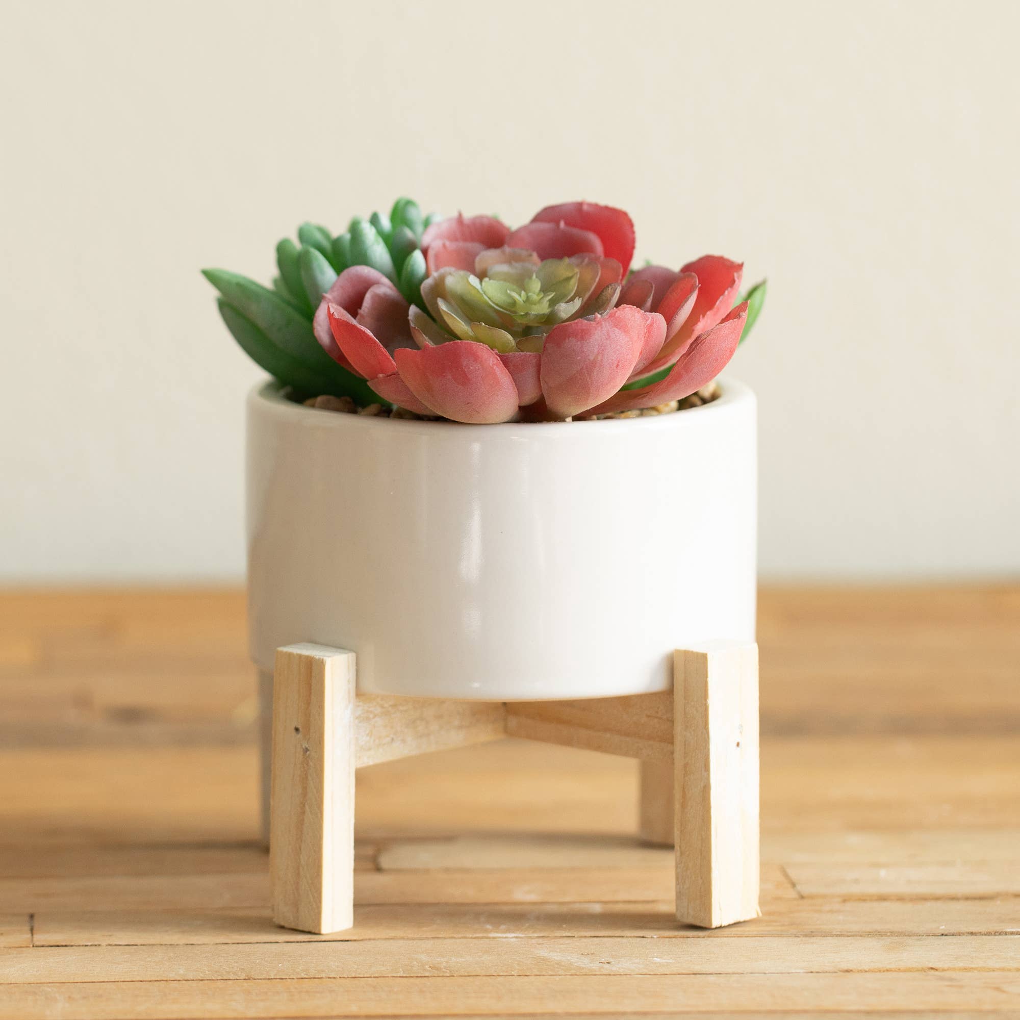 Flora Bunda Inc - Vendita all'ingrosso Pianta grassa - Finto succulento in vaso di ceramica su supporto in legno2