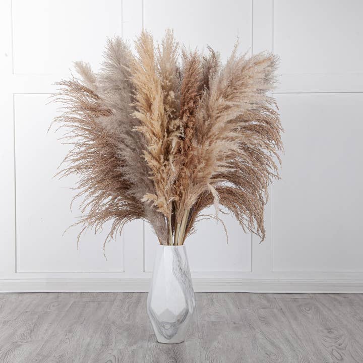 Mollie Sophia Ltd - Wholesale Dried/Pressed Flowers - Large Pampas Grass Dried Flowers Fluffy Pampas Collection