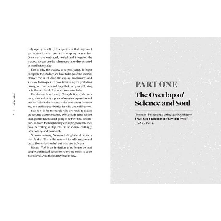 Union Square & Co. - Wholesale Book - Adult - Shadow Work by Danielle Massi