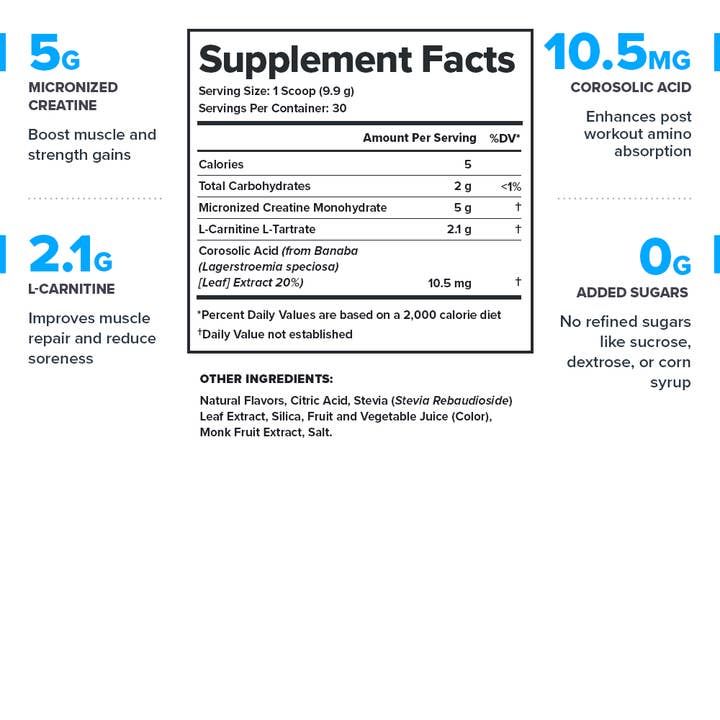Legion Athletics, Inc. - Wholesale Protein/Superfood Powder - Legion Recharge Post-Workout Recovery Supplement - 30 Servings (Sour Candy)