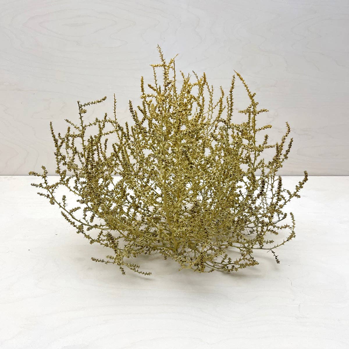 Farmhaus + Co. - Wholesale Decorative Tabletop Object - Tumbleweed Accent0