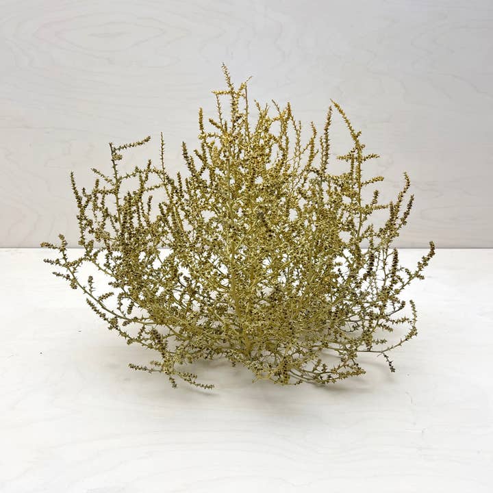 Farmhaus + Co. - Wholesale Decorative Tabletop Object - Tumbleweed Accent