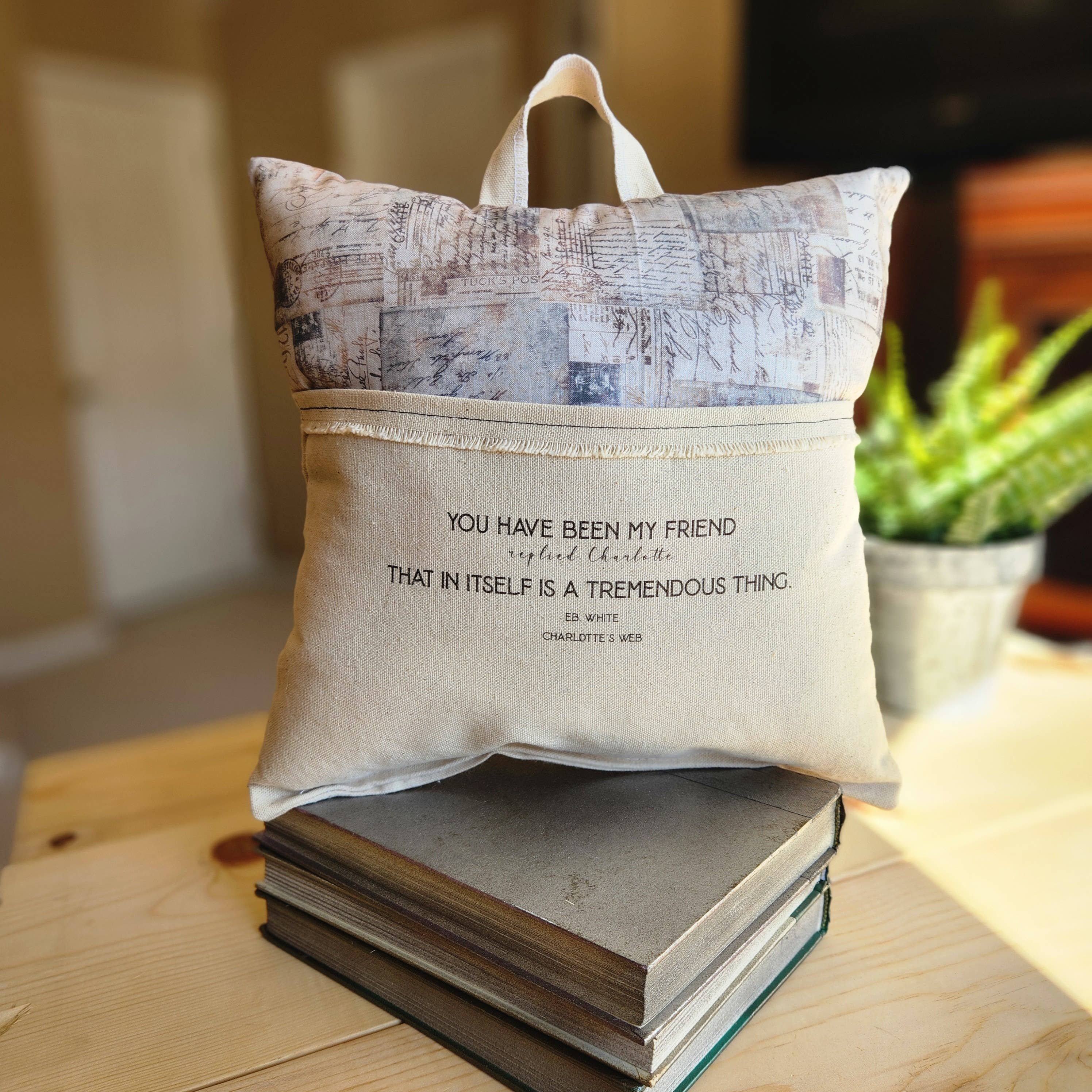 Desmond Brown - Wholesale Throw/Decorative Pillow - Charlotte's Web, Reading Pillow, vintage postcard3