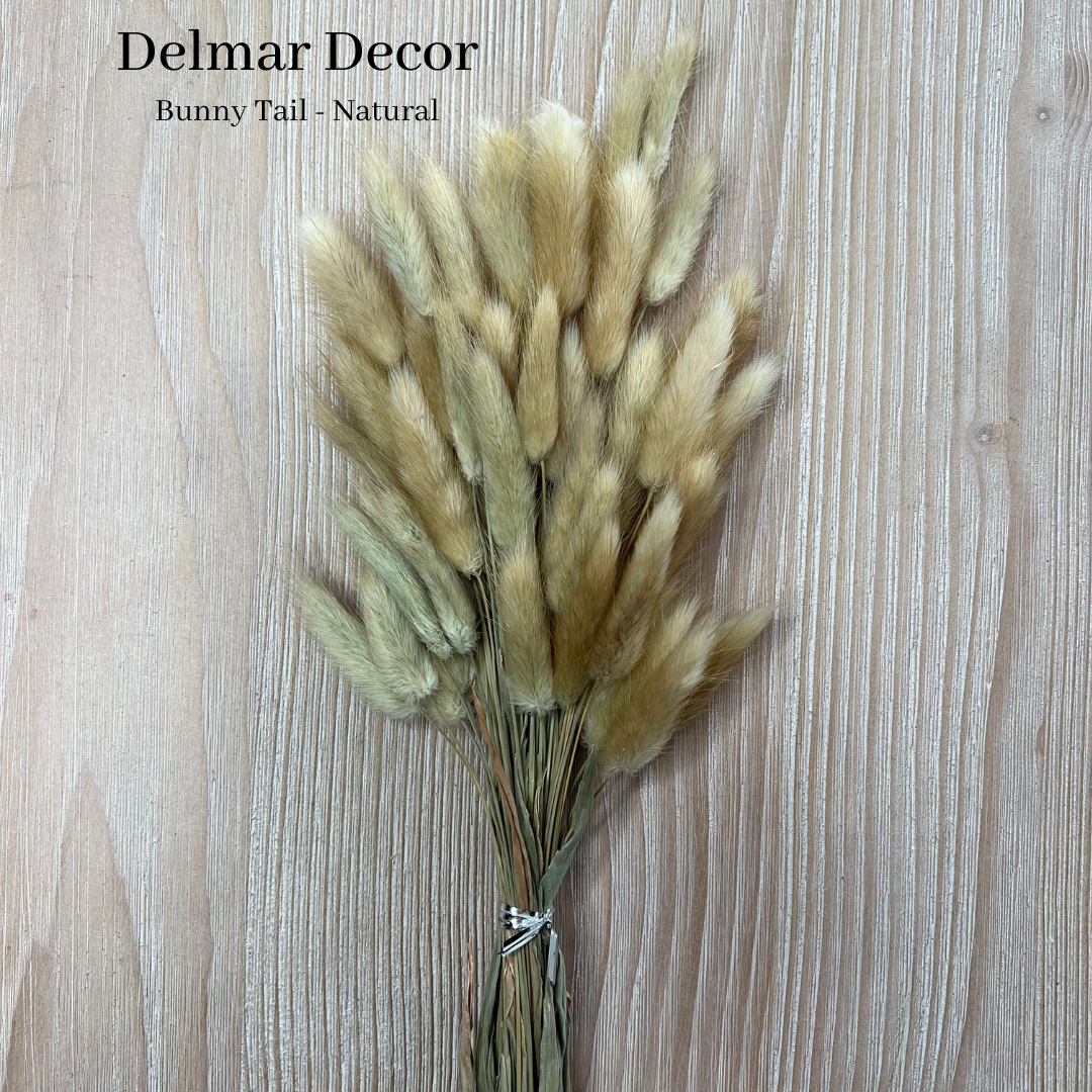 Delmar Decor – wholesale Torkade/pressade blommor – Torkad kanin svans, blommig inredning10
