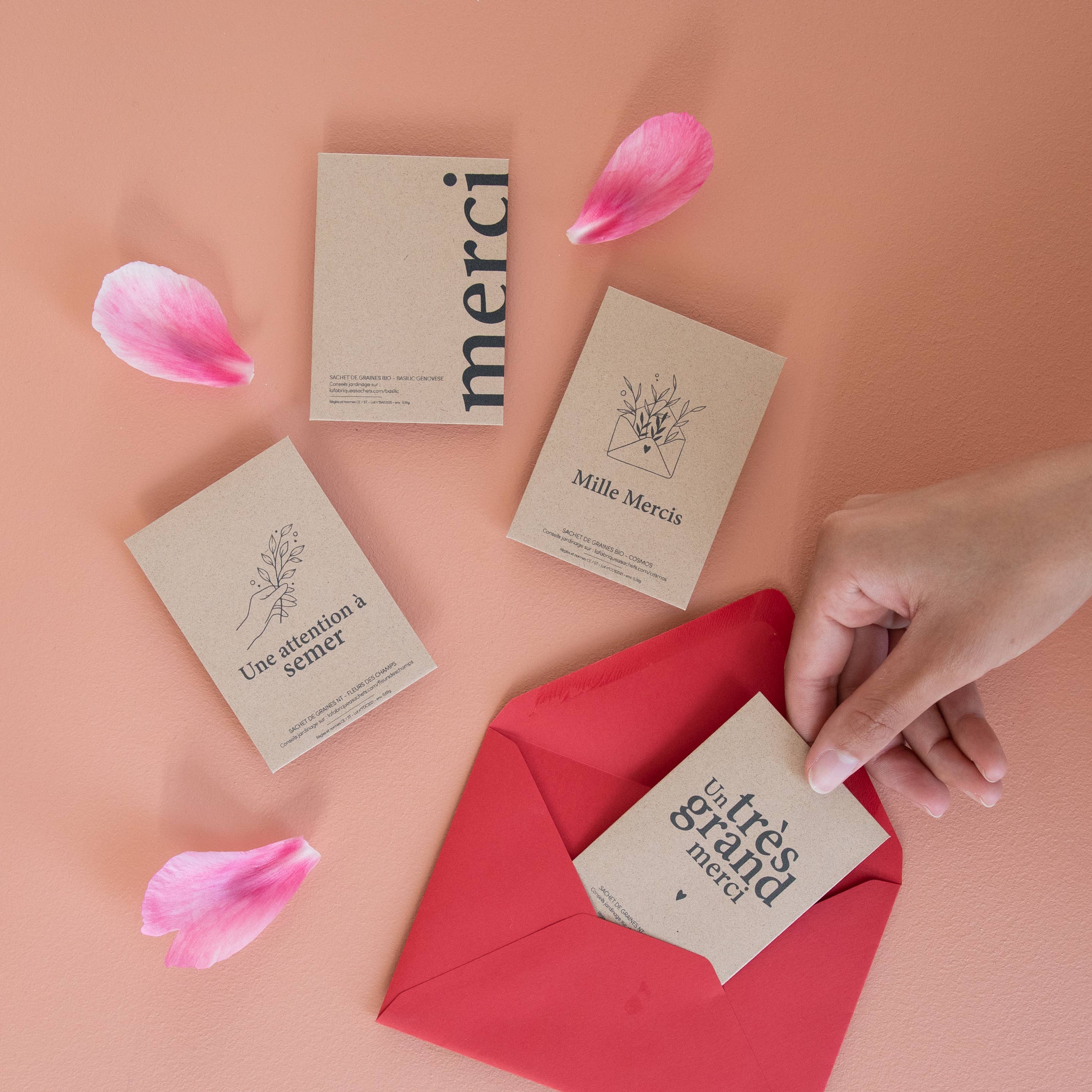 La Fabrique à Sachets – wholesale Frön – Tusen tack - Påse med frön av kosmos1