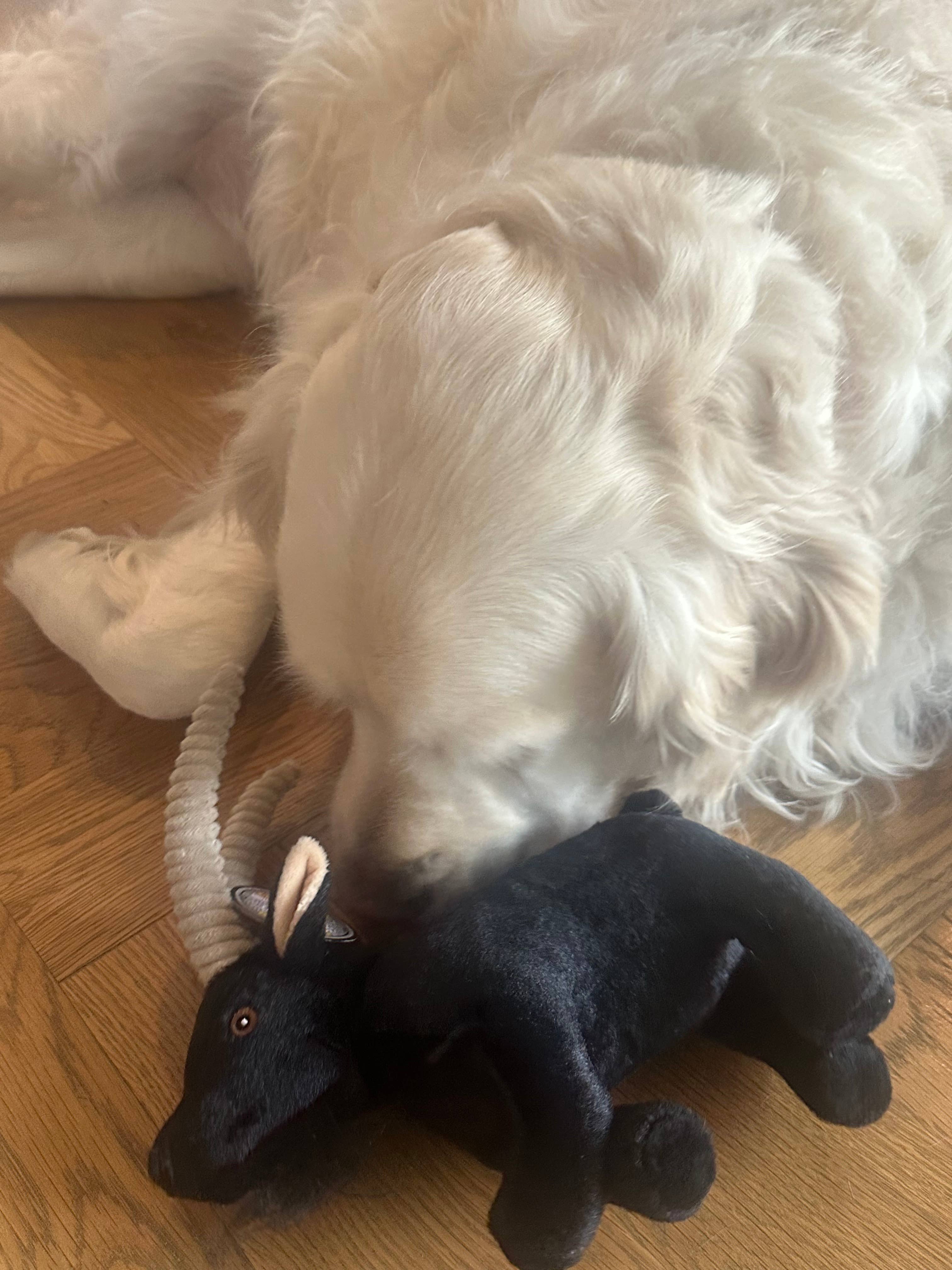 STEELDOG USA LLC - Wholesale Pet Plush Toy - Dog - Barnyard Baller Billy Goat1