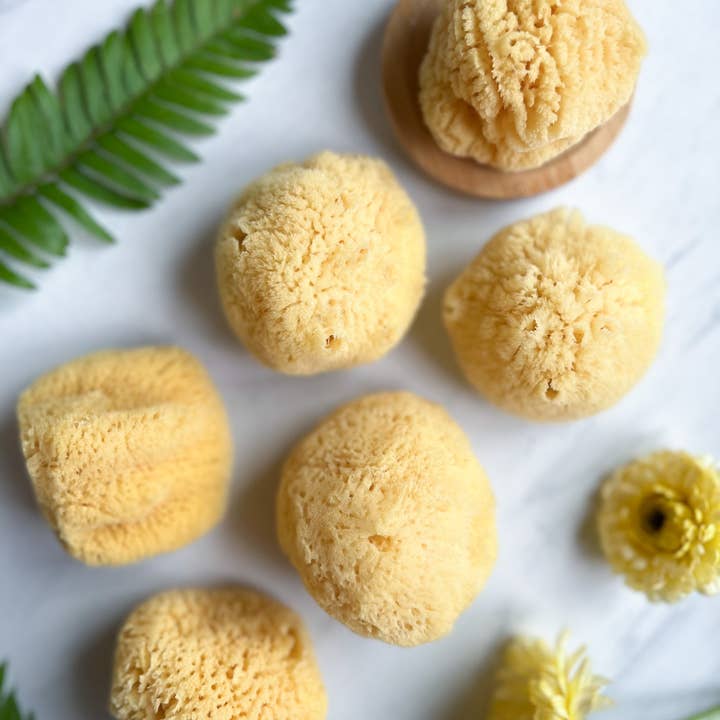 Fawn Lily Botanica – wholesale Bath pouf/sponge – SILK FACIAL SEA SPONGE - CARIBBEAN1