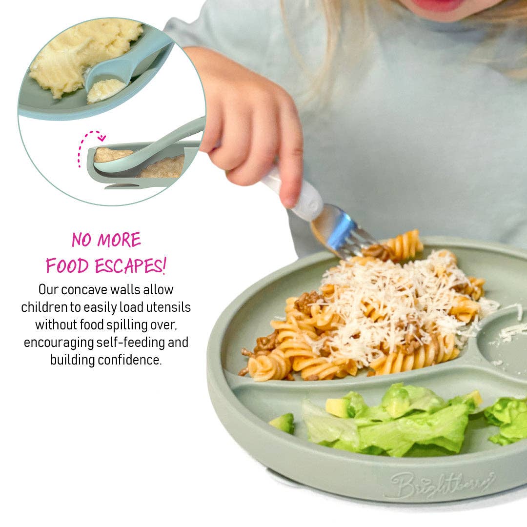Brightberry - Wholesale Dinner Plate - Kids & Baby - Divided Suction Plate4